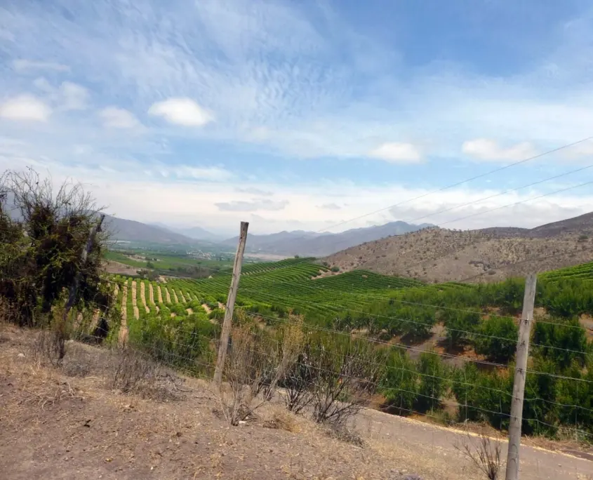 Projekt WEIN – Chile 3 Bewaesserungslandwirtschaft Limari Tal 1500x1125 1 845x684 1