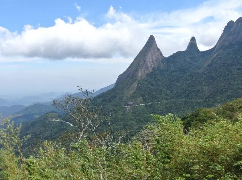 INTECRAL – Brasilien 7 DSC 1947 1195x630 1 845x630 2